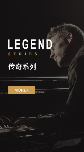 傳奇系列